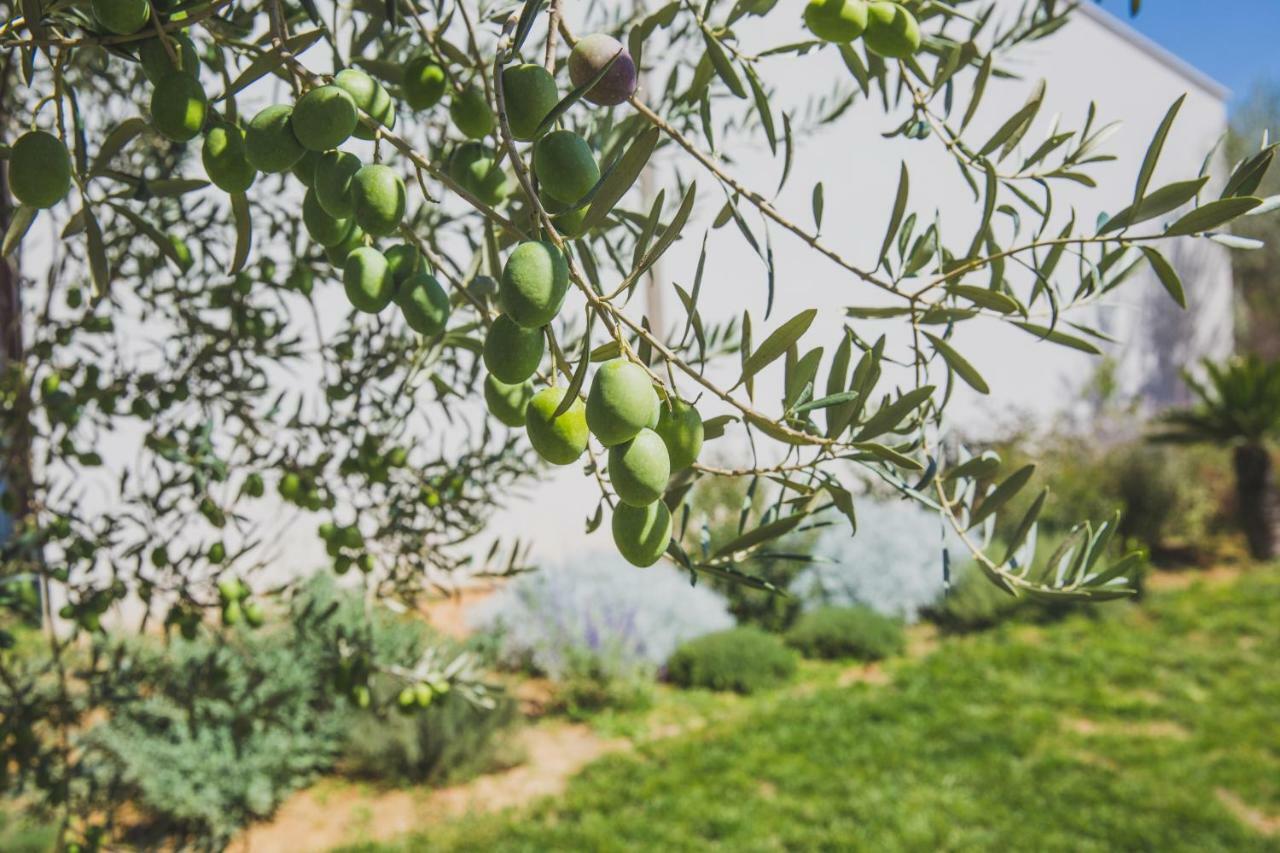 Uliwood Ξενοδοχείο Καλτανισέττα Εξωτερικό φωτογραφία